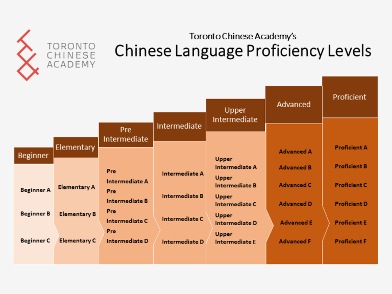 Toronto-Chinese-Academys-Chinese-Language-Proficiency-Levels-PNG-1-768x576